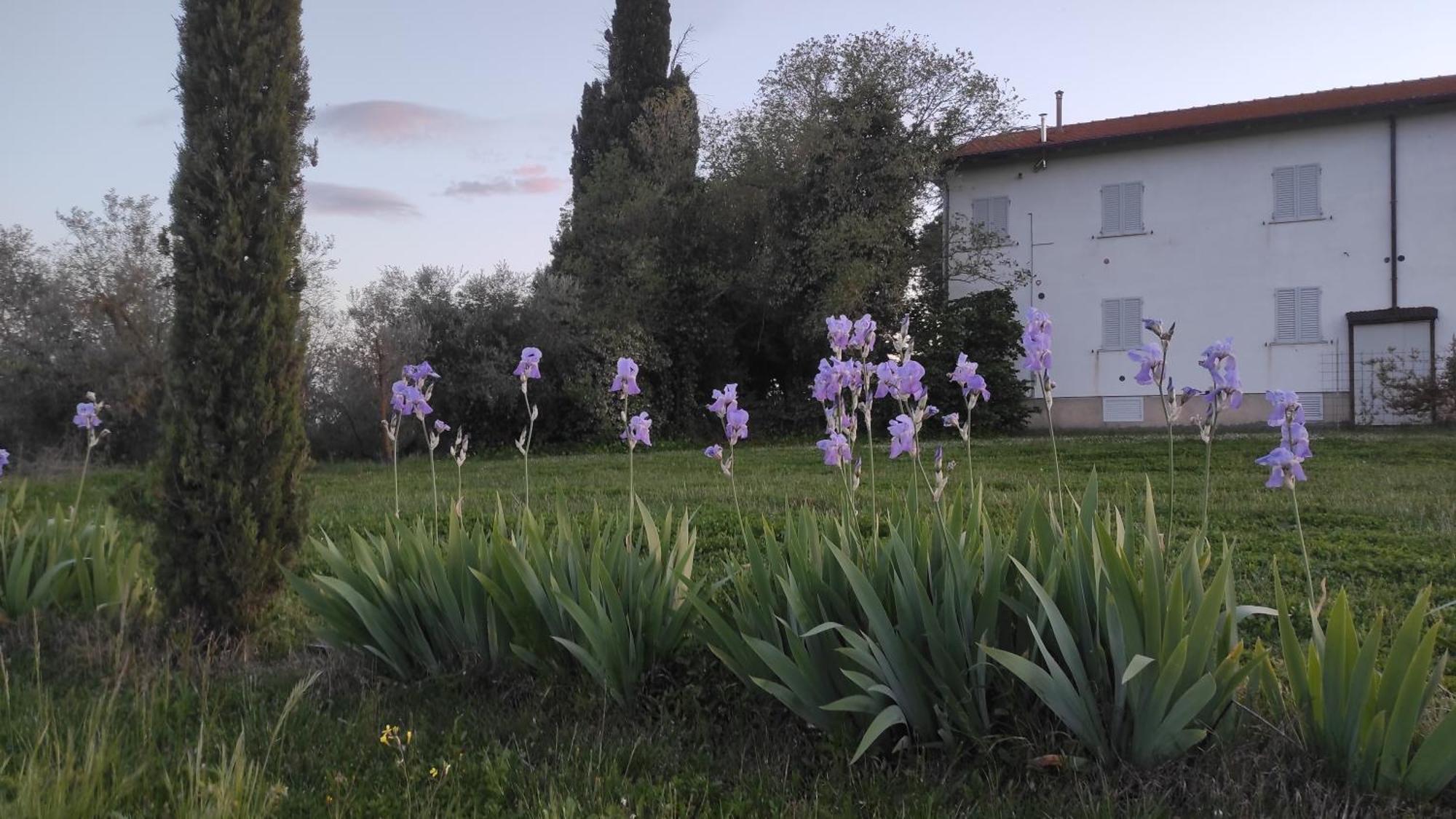 Вілла Borgo Iris Pietraia Екстер'єр фото