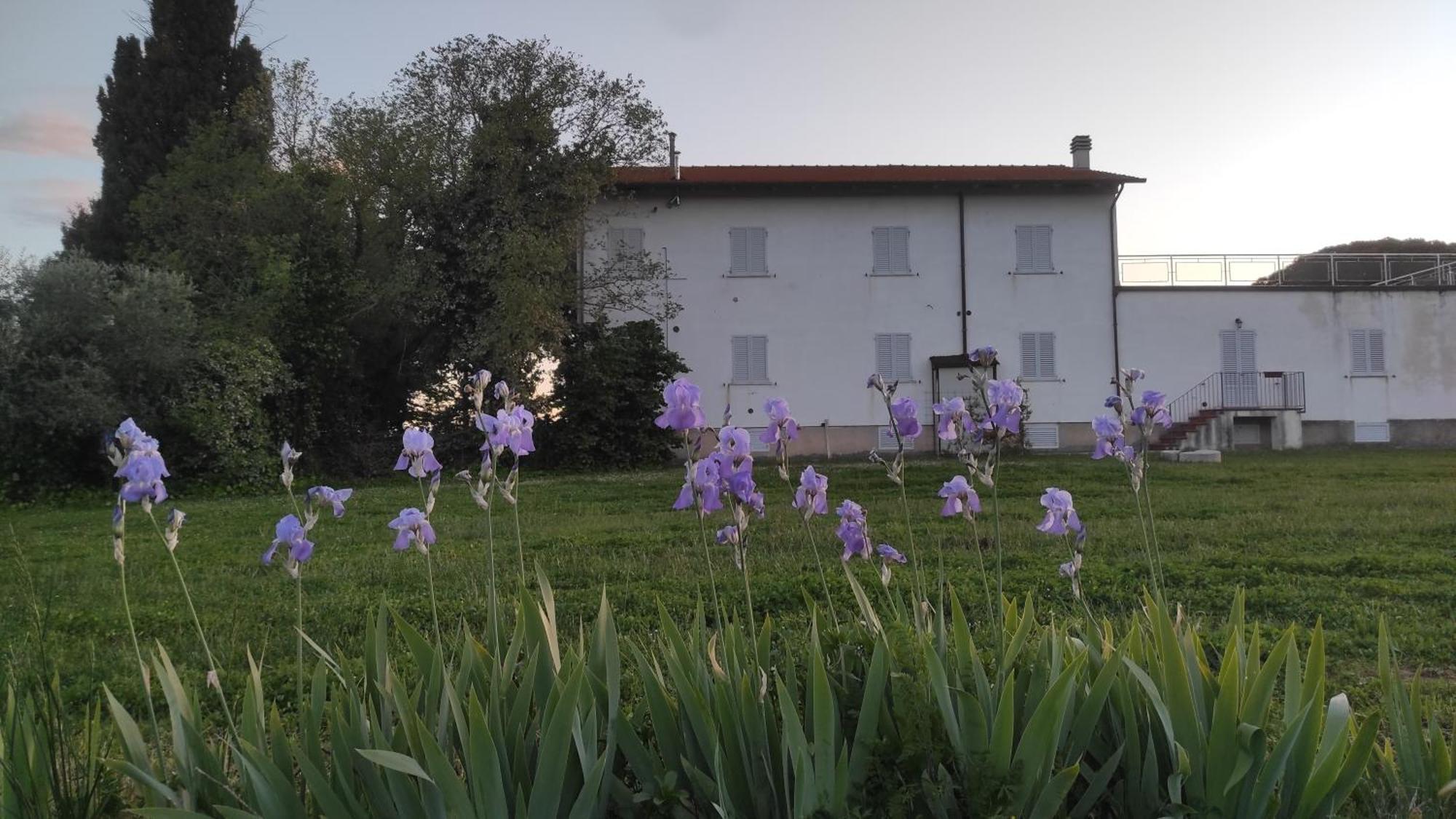 Вілла Borgo Iris Pietraia Екстер'єр фото